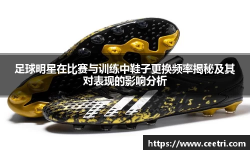 球速体育平台登录入口